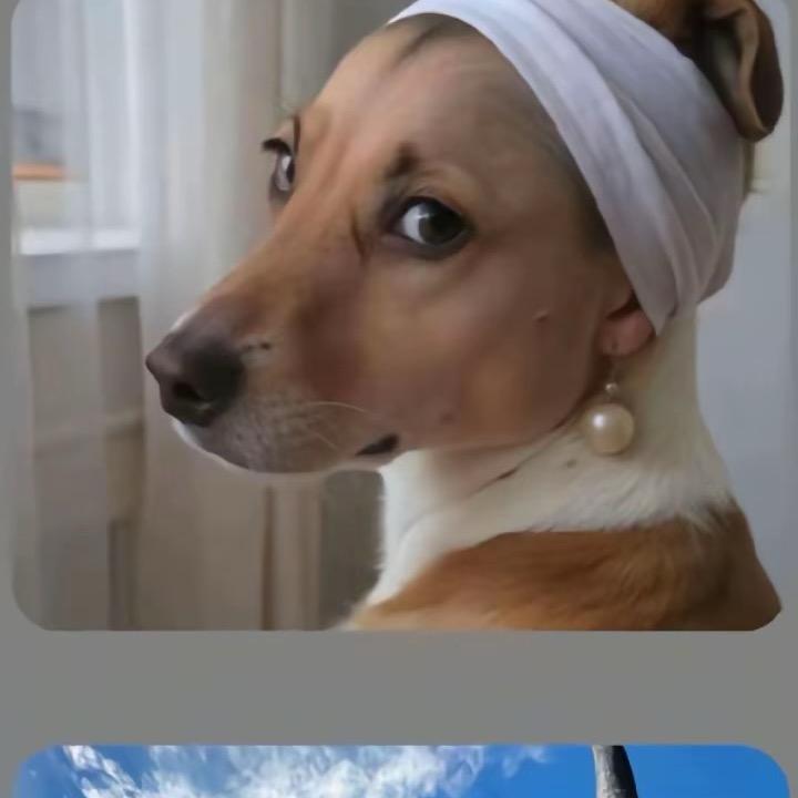 在克罗地亚出卖爱情