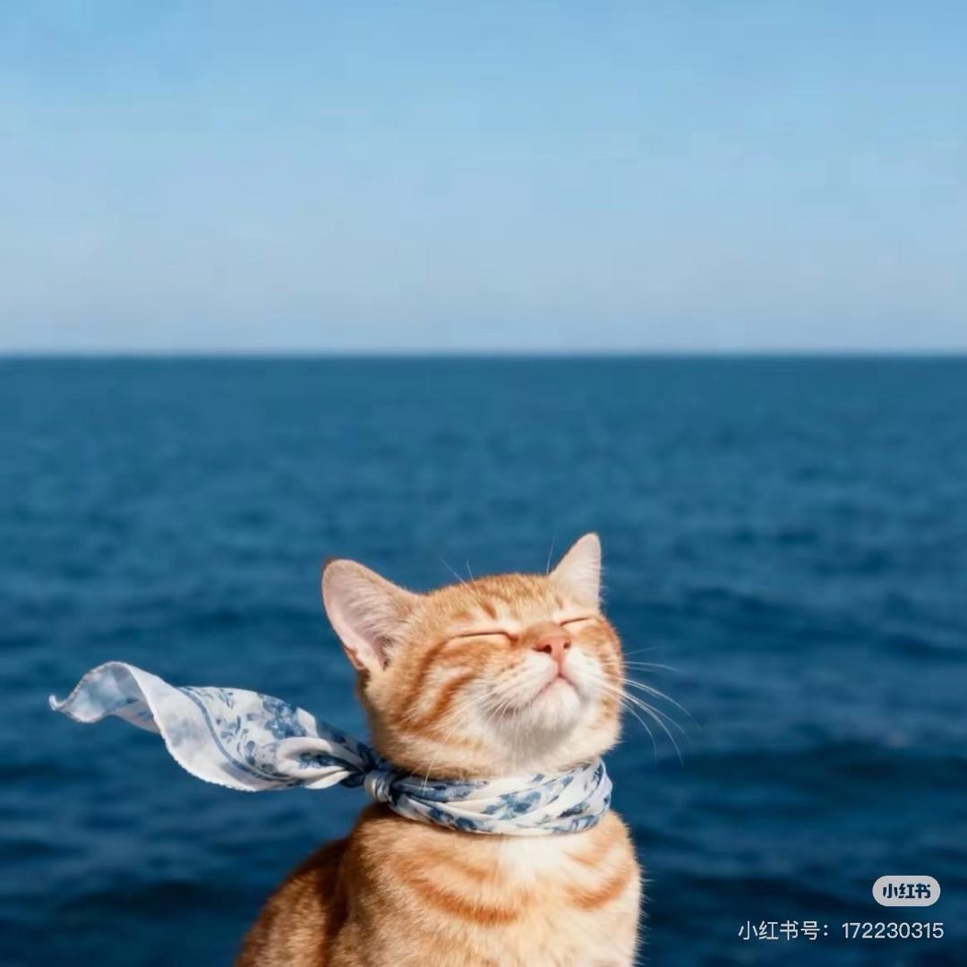 Oh 不（努力健身）