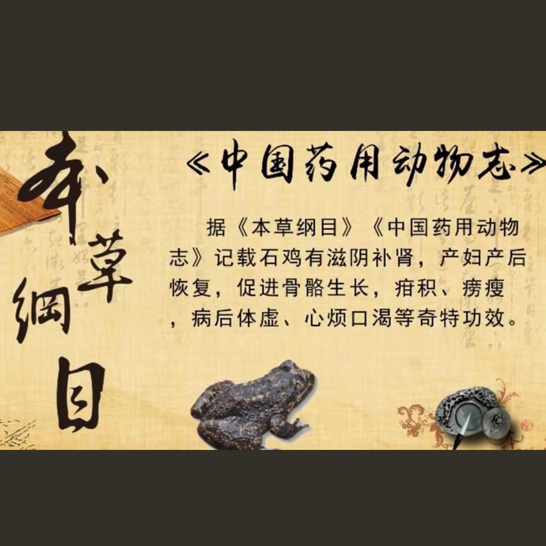 石蛙