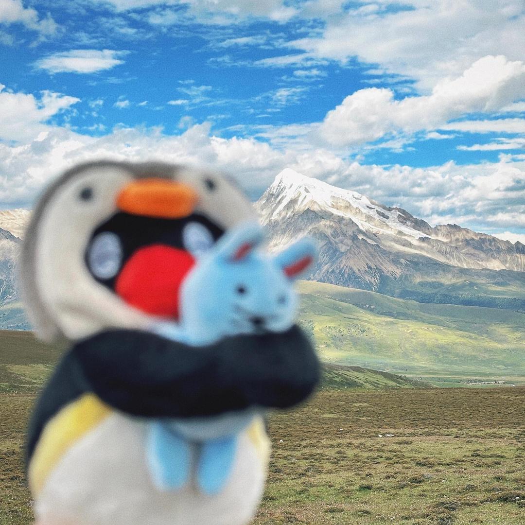 U^ェ^U
