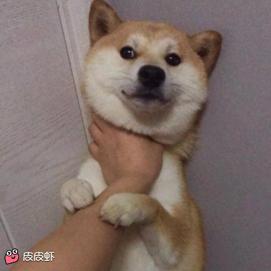 渣渣兄弟