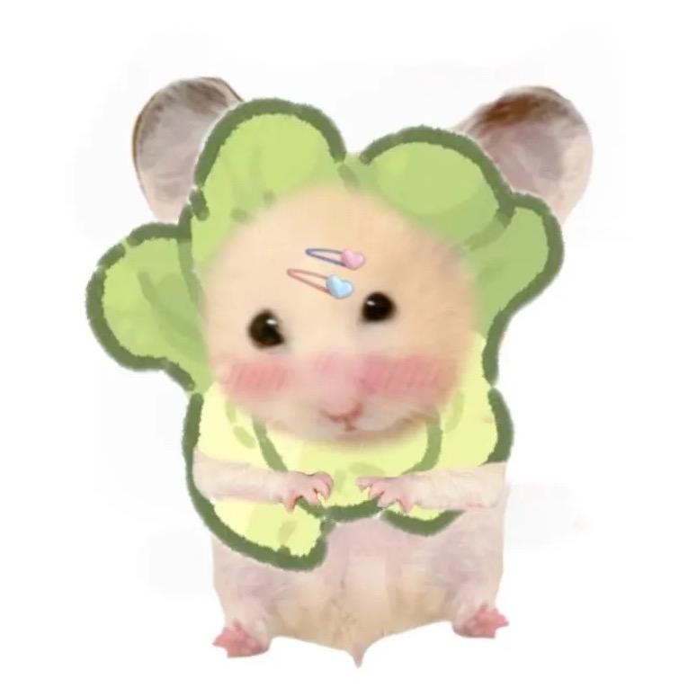 鼠鼠纯法貂蝉🍠