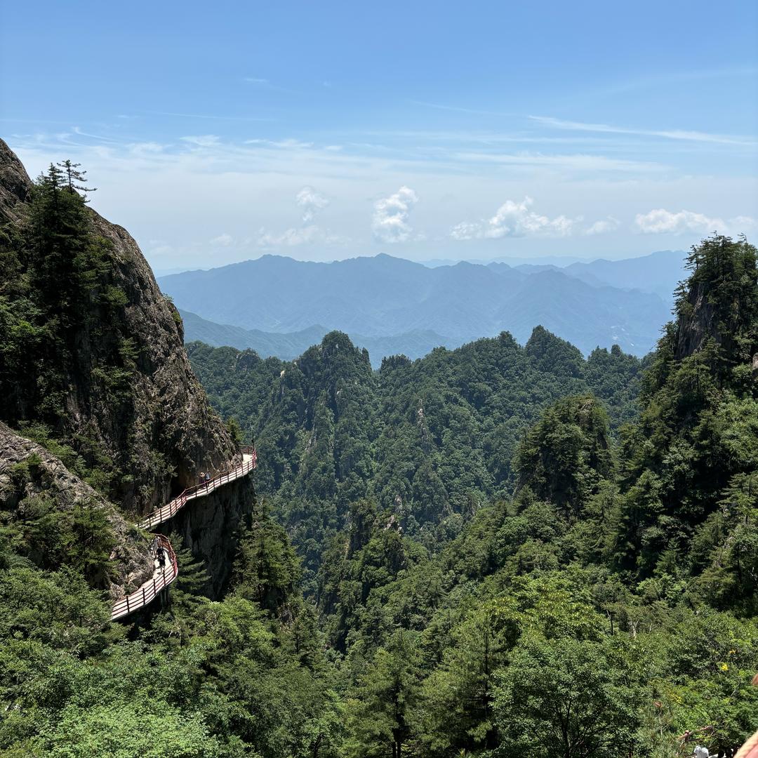 哎呦喂歪