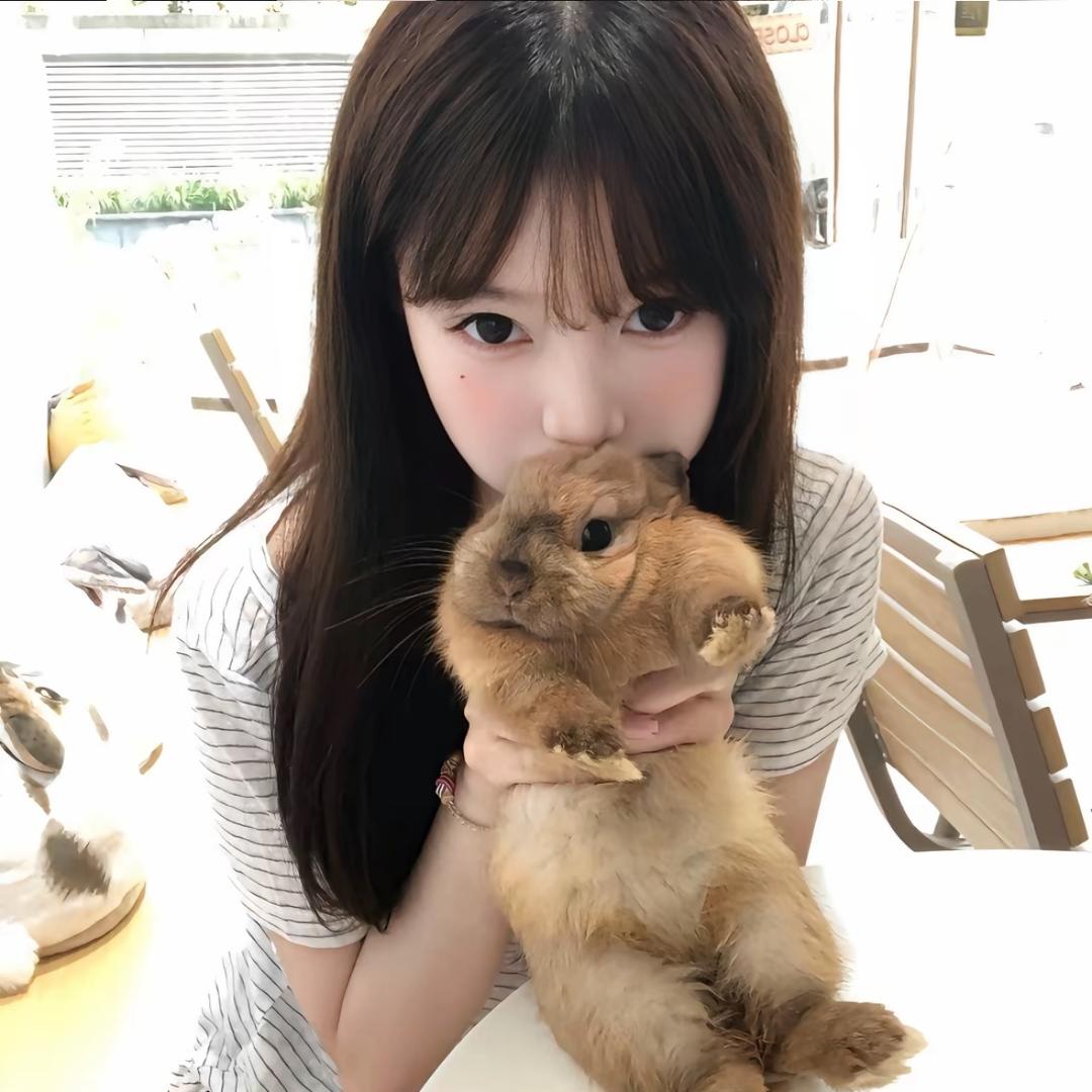 下次见( •︠ˍ•︡ )