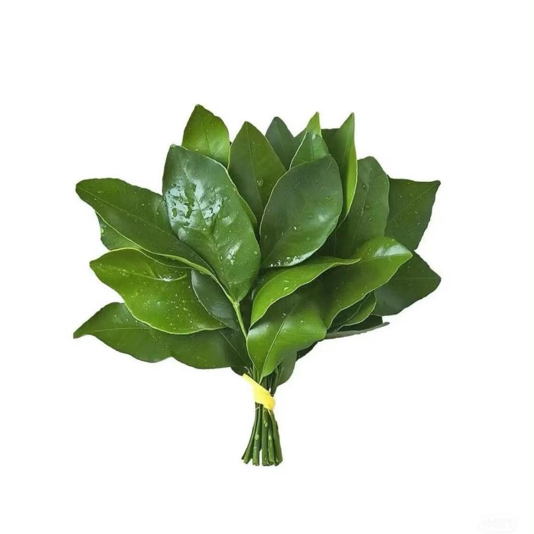 晩侒