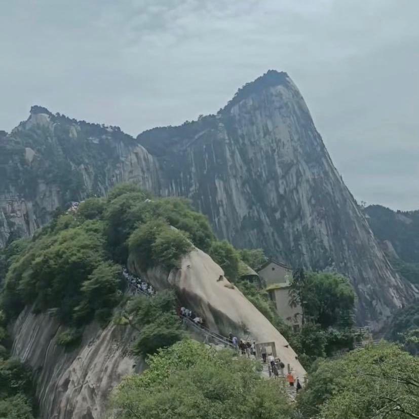 魏志军
