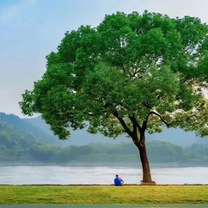 宜昌向阳东