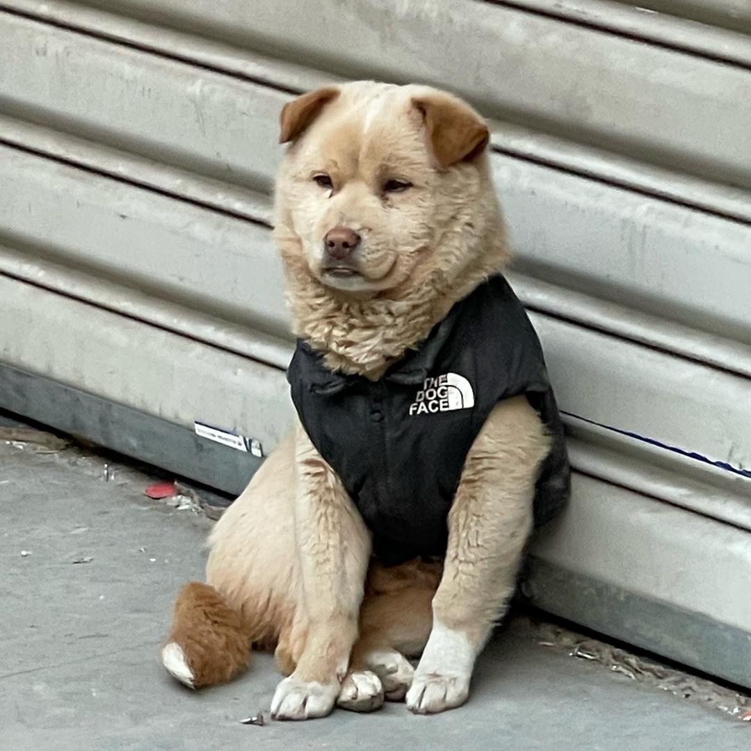 没事美式的
