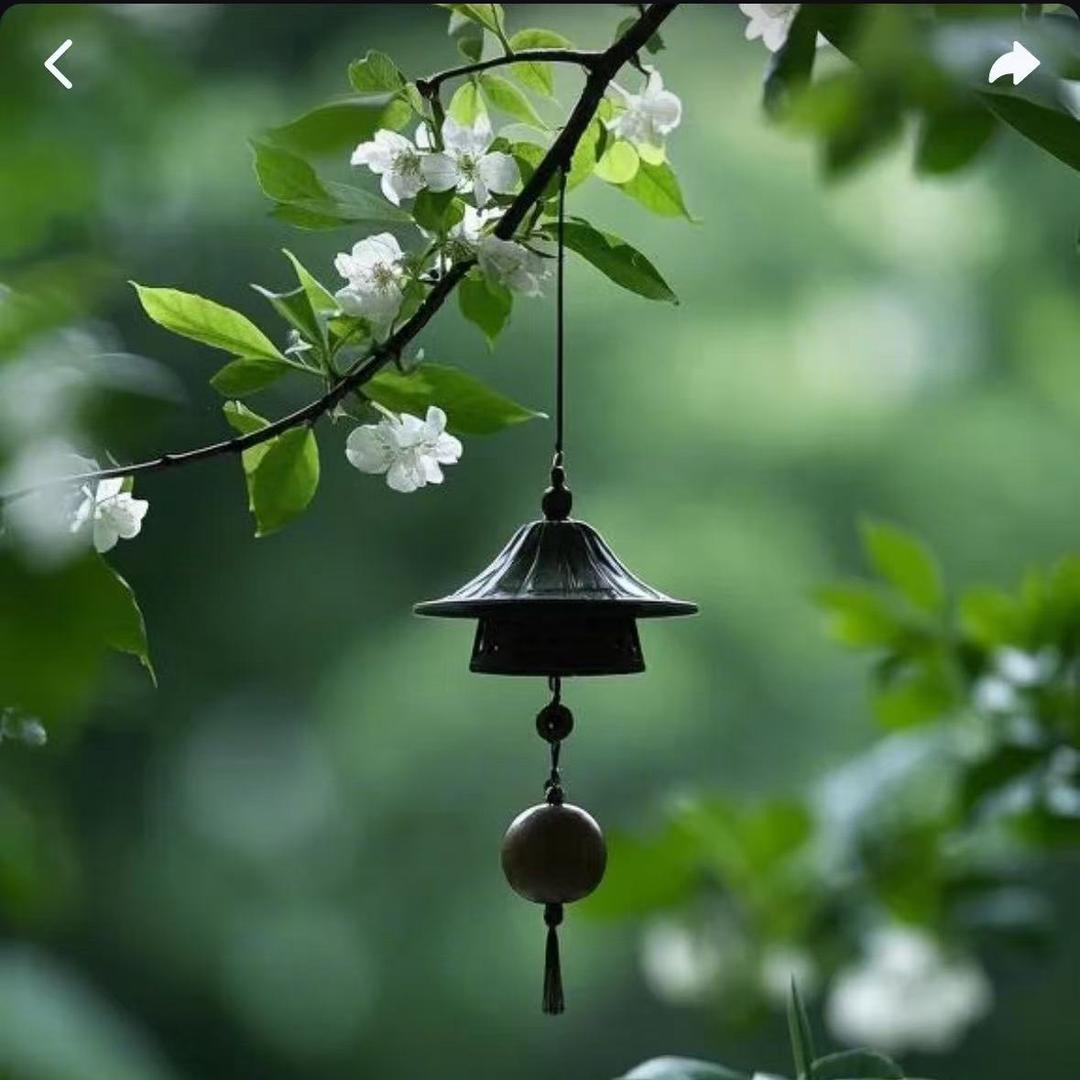 简单（首播中，早上9：15分）