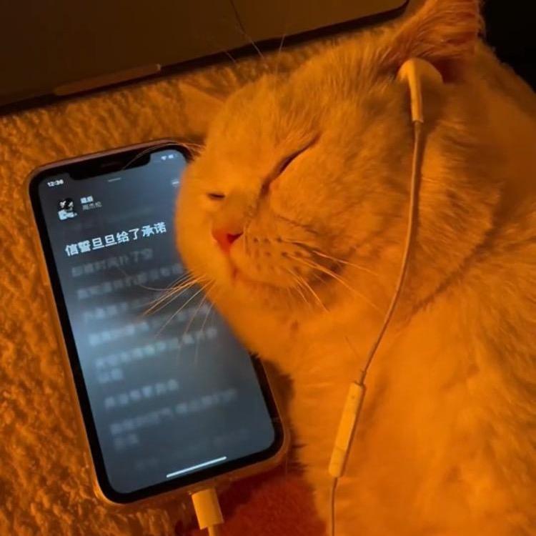 她说我比老蒯带劲