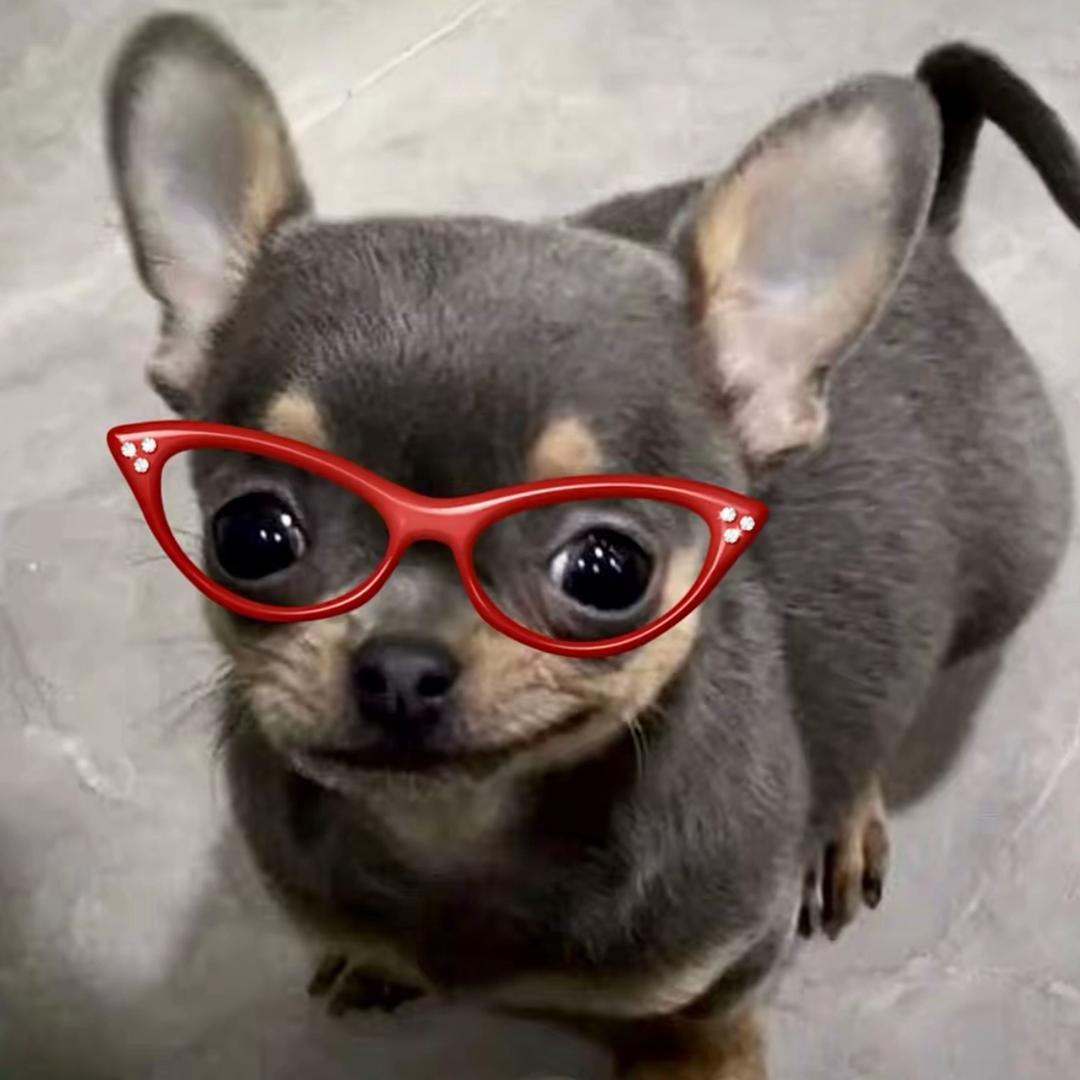 Ho