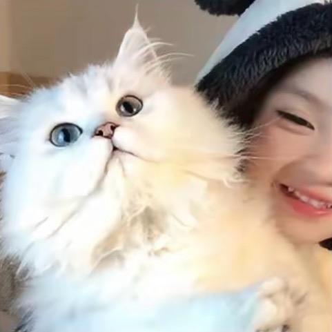 ö椰