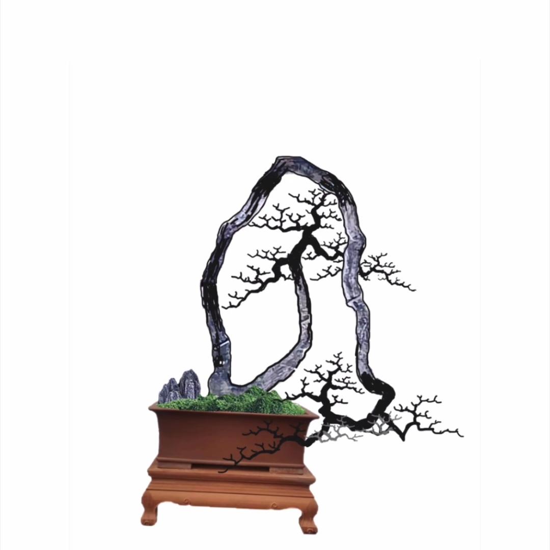 金弹子小彭盆景