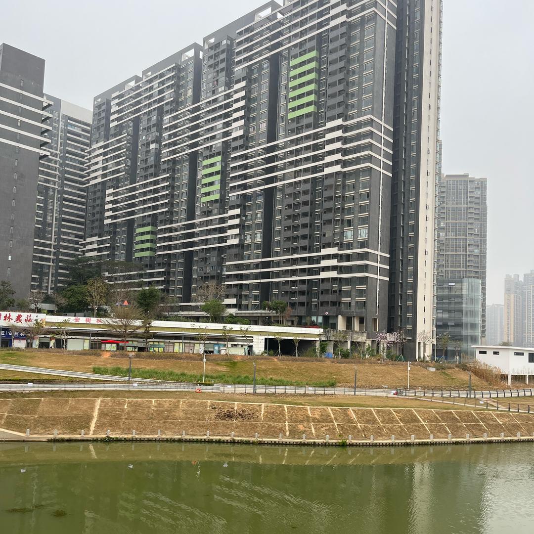 龙岗法式烫羊毛卷来了