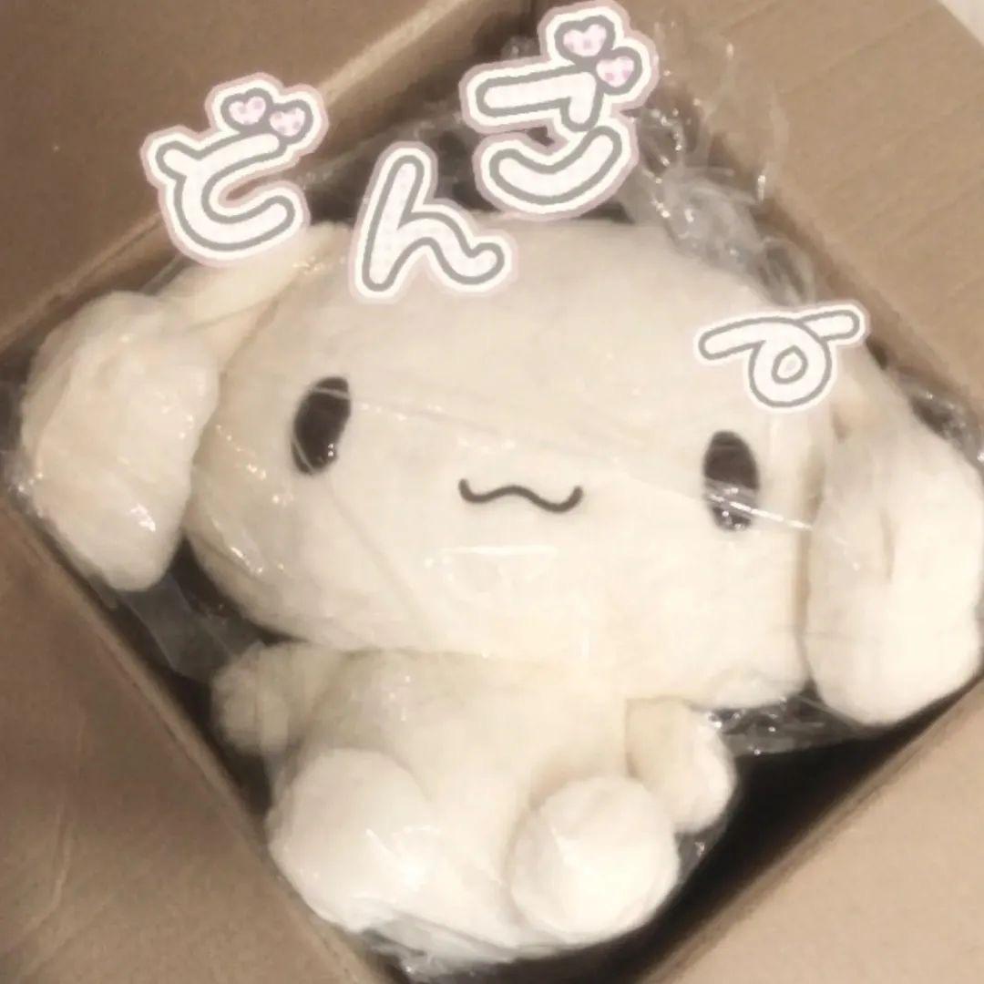 达尔文