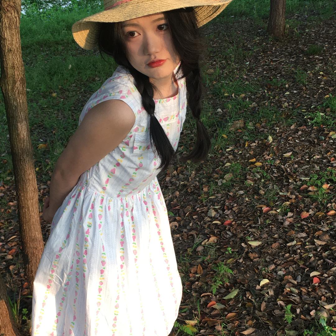 树树复古屋