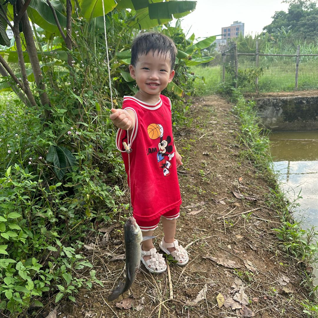 箴忆染笺