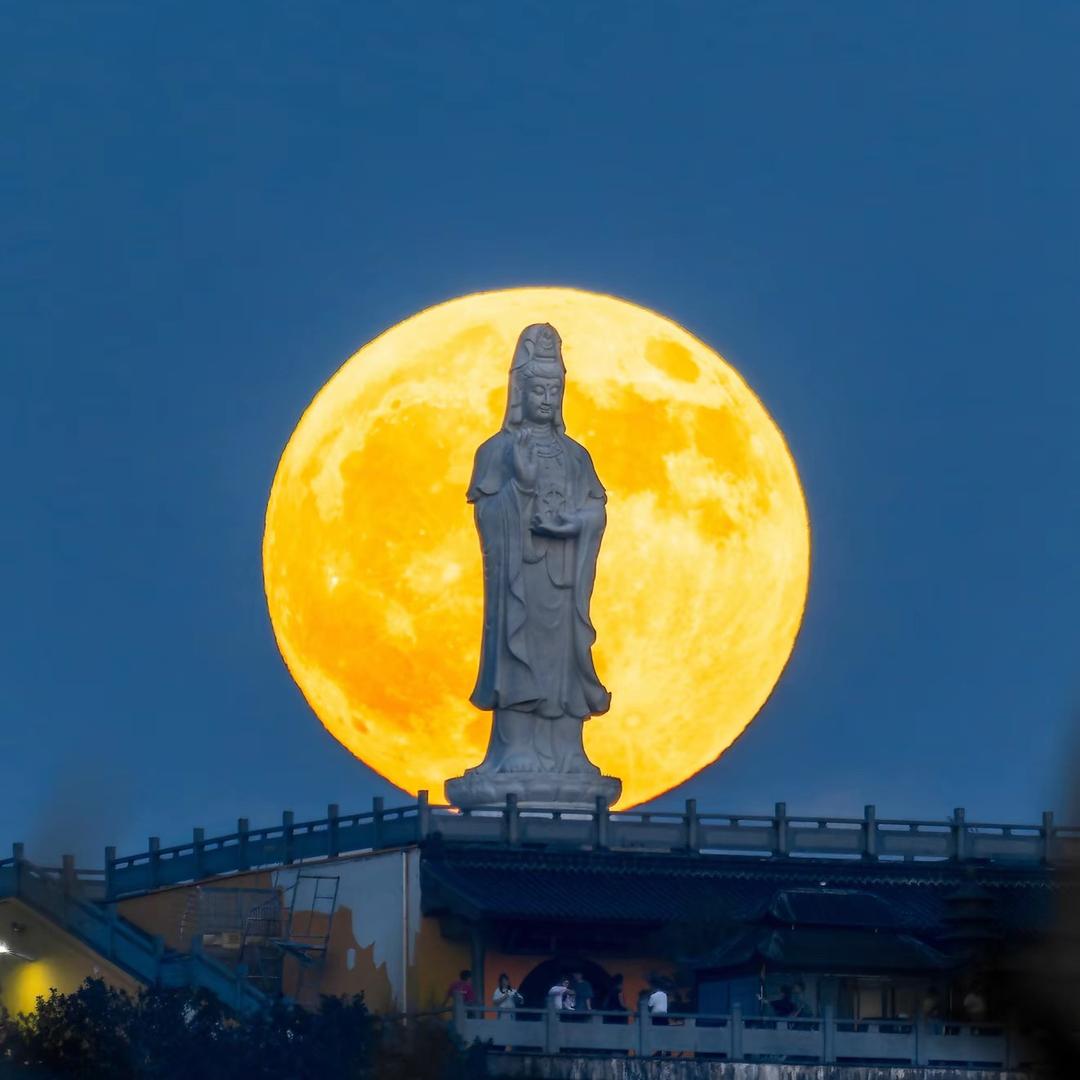 老五快剪（直播号）