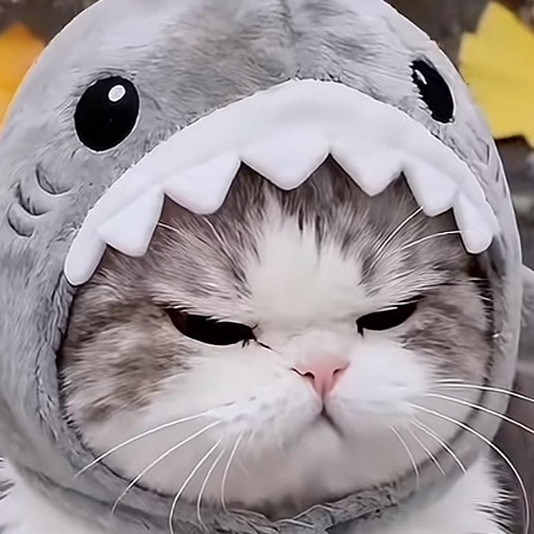 南村萝莉欺我老无力，挨个轮流给我奖励