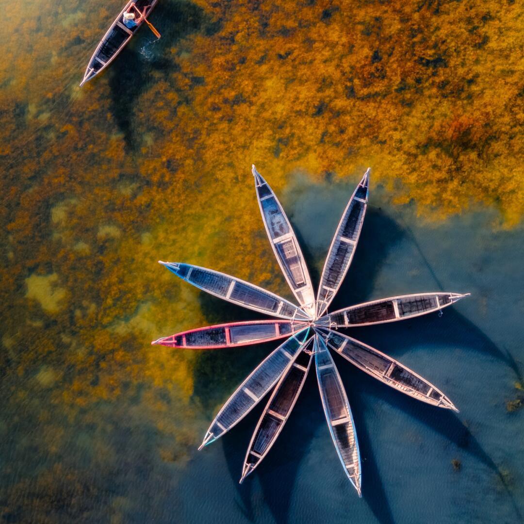 DJI 薇薇