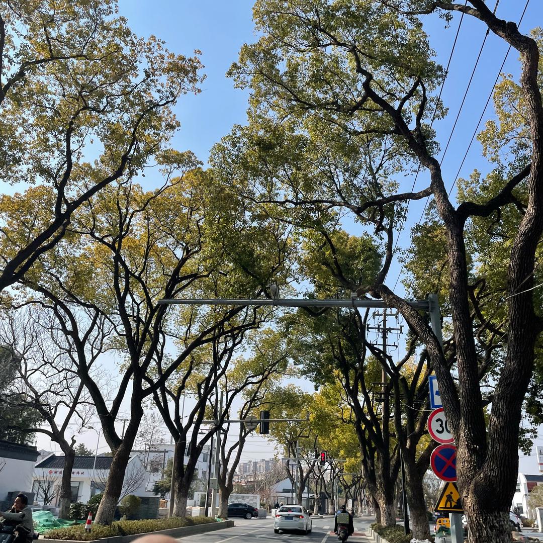 喊你来吃饭🍚啦