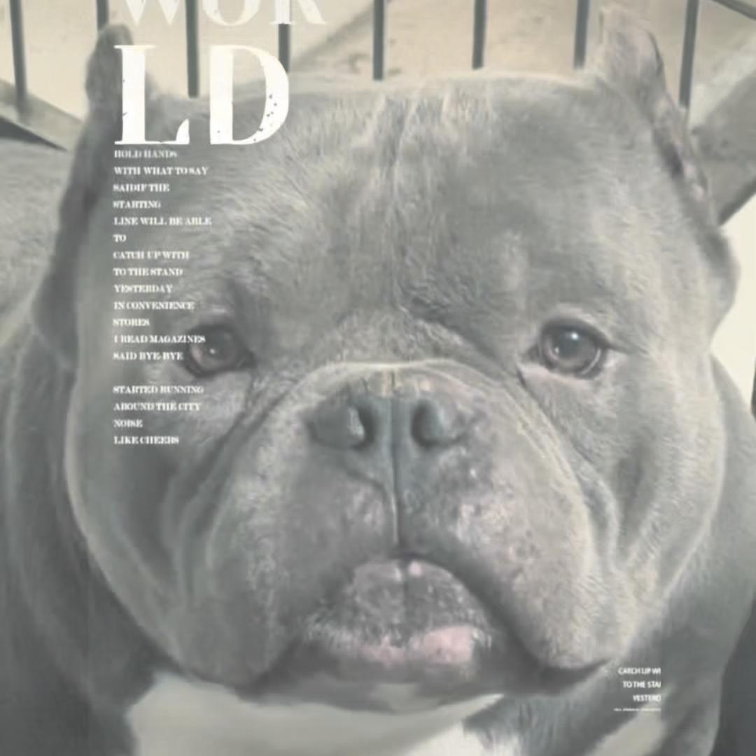 张晴 带你玩儿恶霸🌎