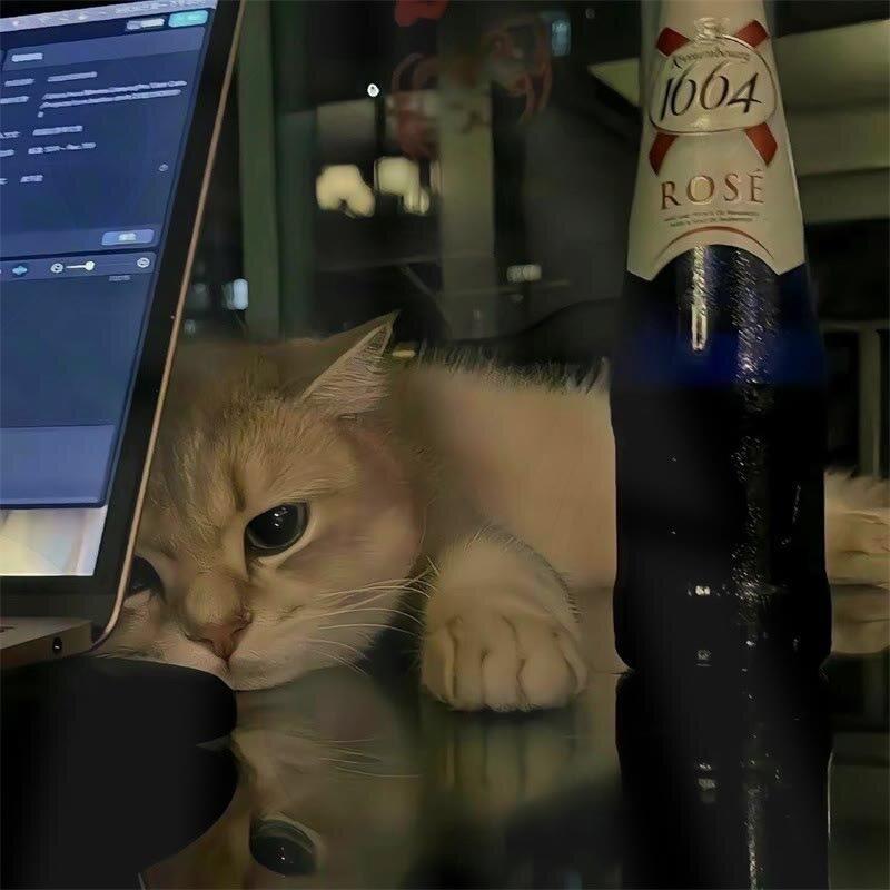 重庆订台可找 小源