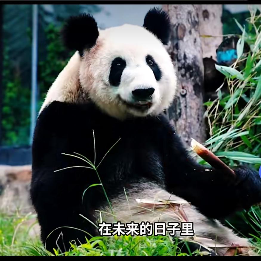 用户名66917470头像