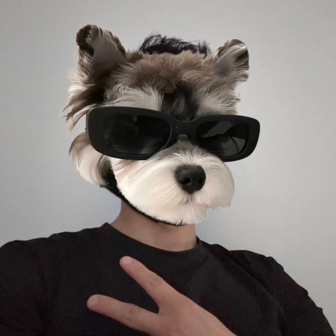 骑车的赵小赵