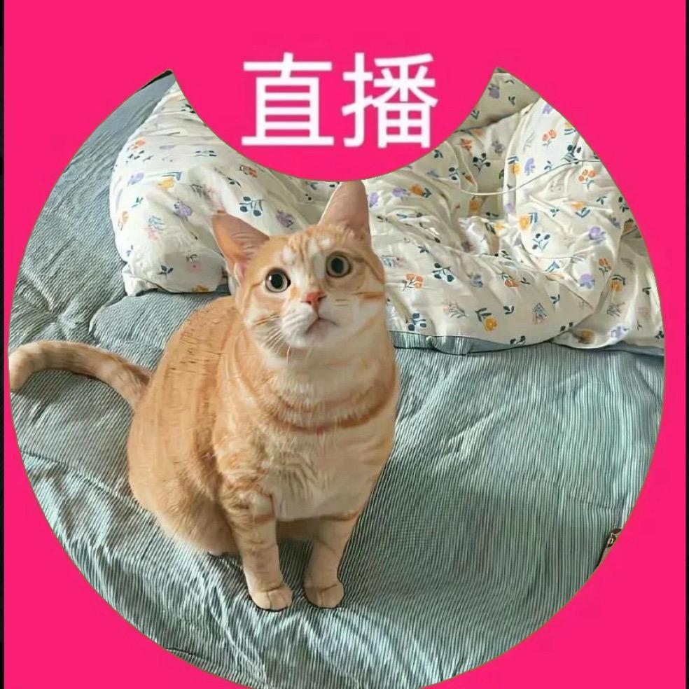 ㅤㅤㅤ麻辣鱿鱼ㅤㅤㅤ
