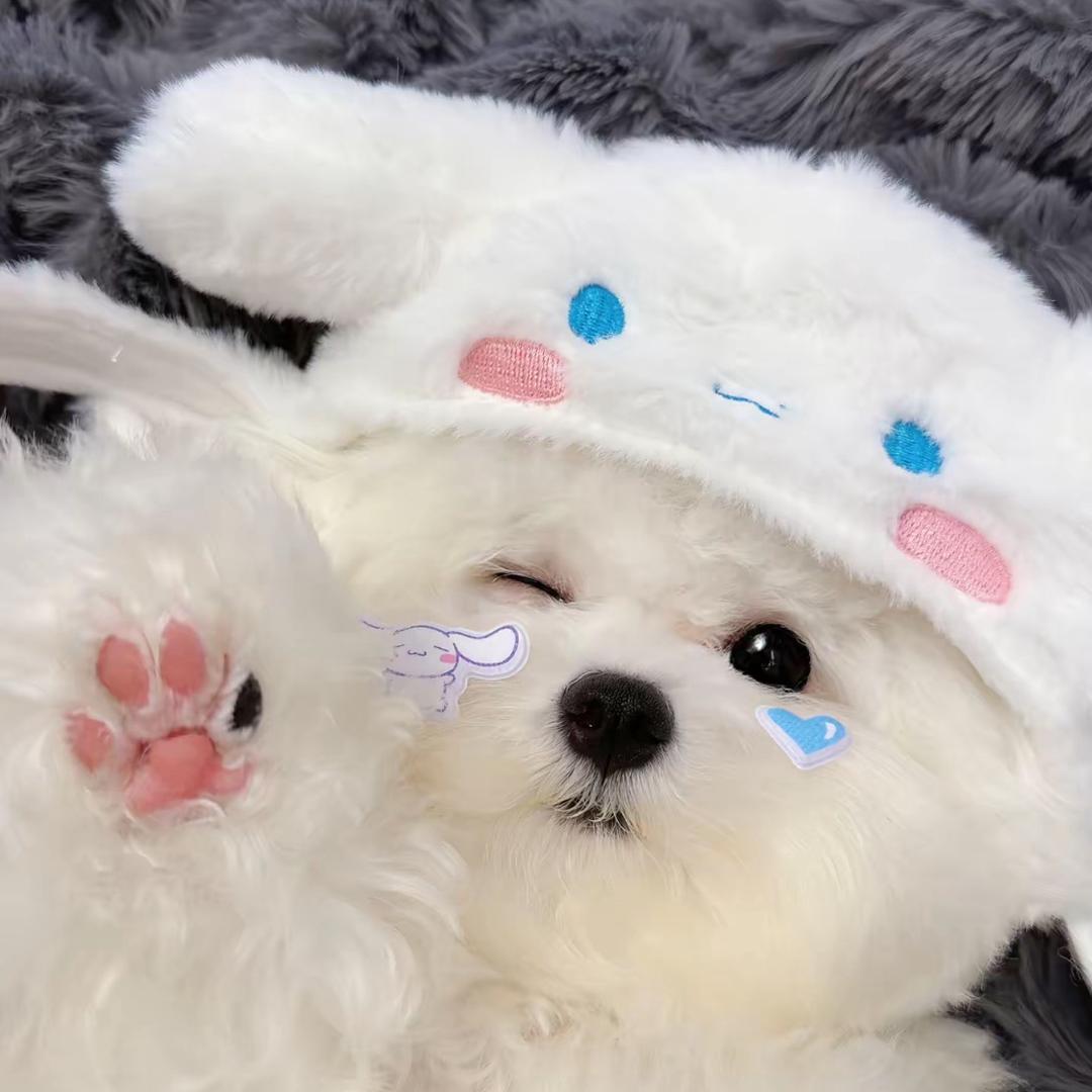 睡个好觉吧～