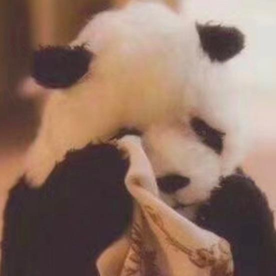 百变羊丁