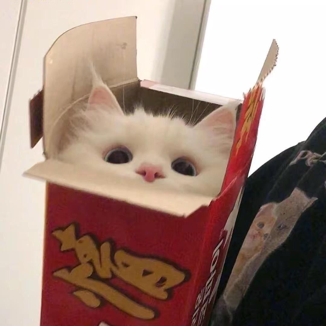 R an