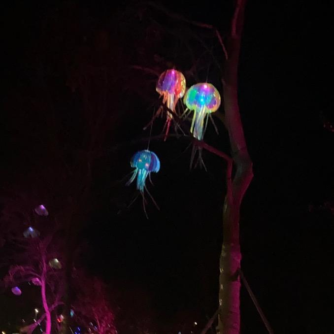 耳根生活馆（第八分店）