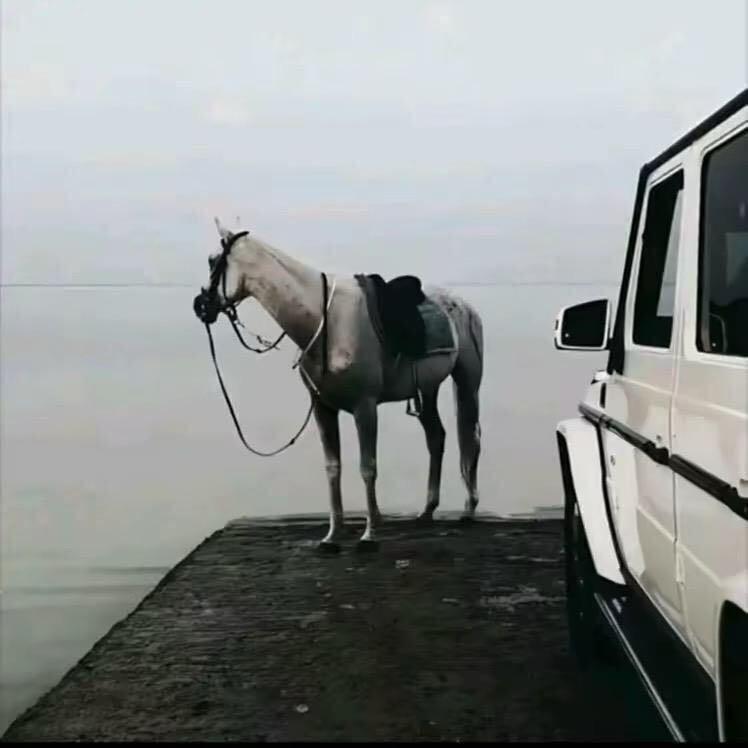 Z…