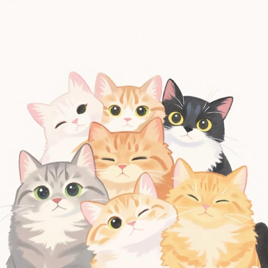 热爱Cat