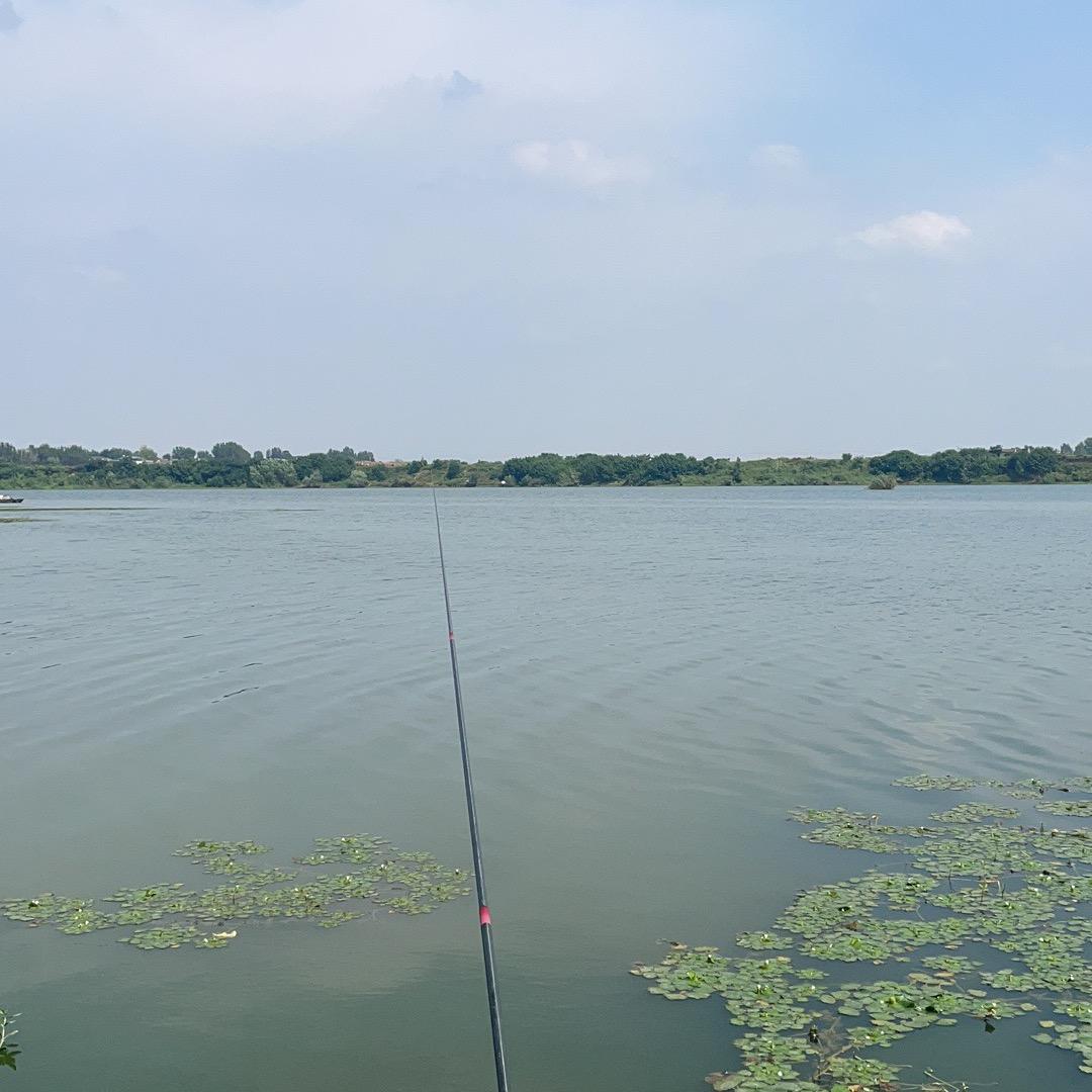 大个