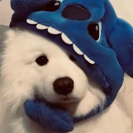 一艘航母