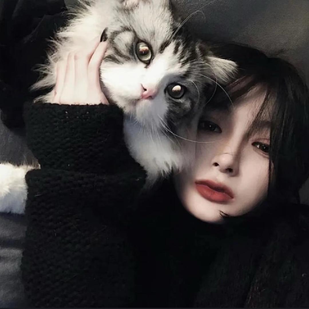 ╭🖤ིྀ╮ 𝑩𝑳𝑨𝑪𝑲 𝑬