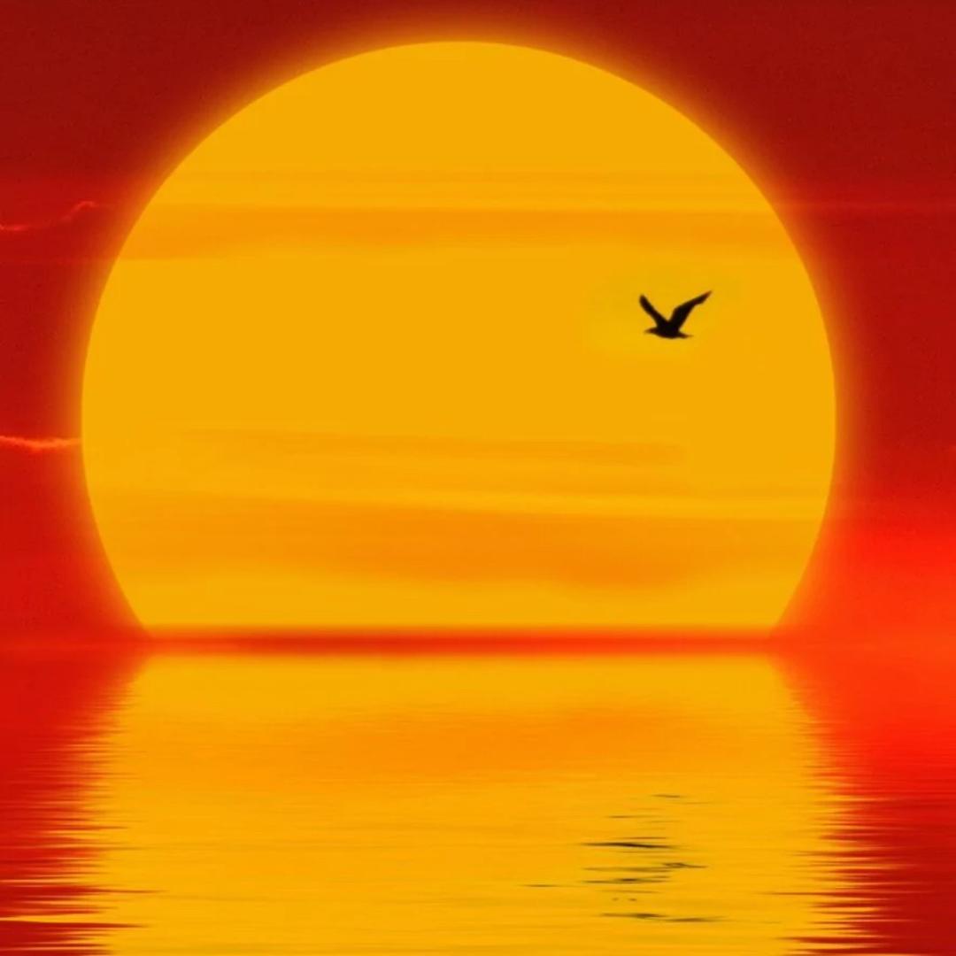 阳光光☀️