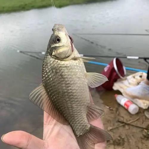 钓鱼趣🎣🐠