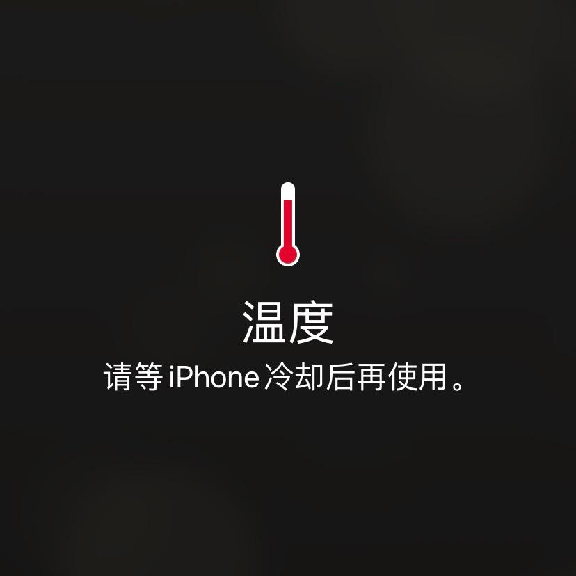 蹑蹑
