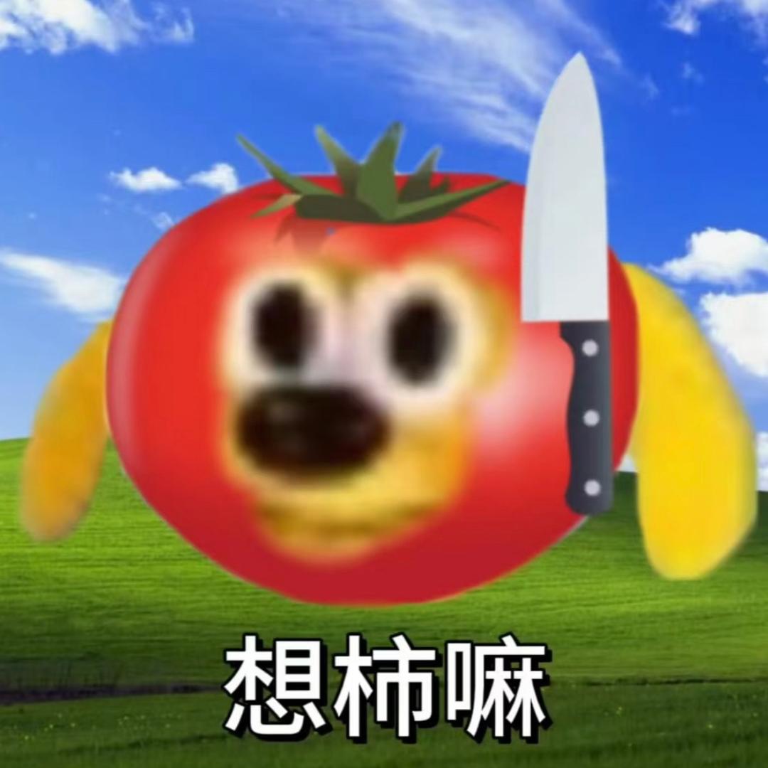 棍猫不吃番茄