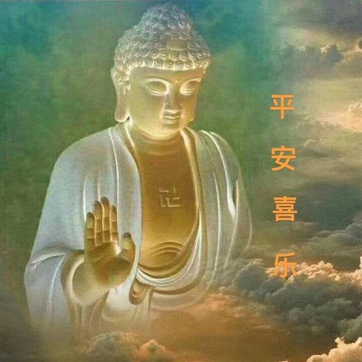 杨峰666