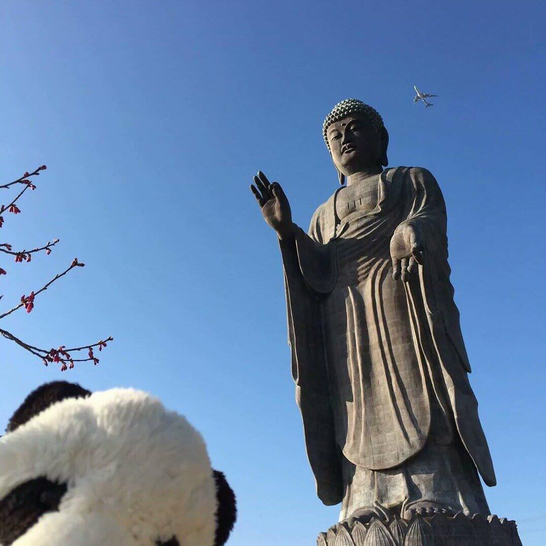 王子聪