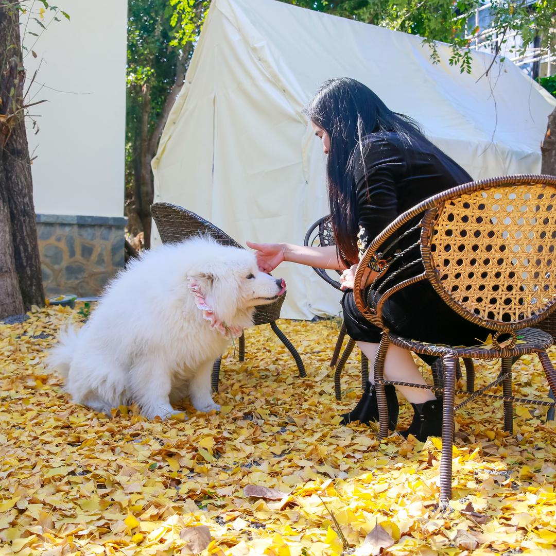 腾冲旅居有间民宿