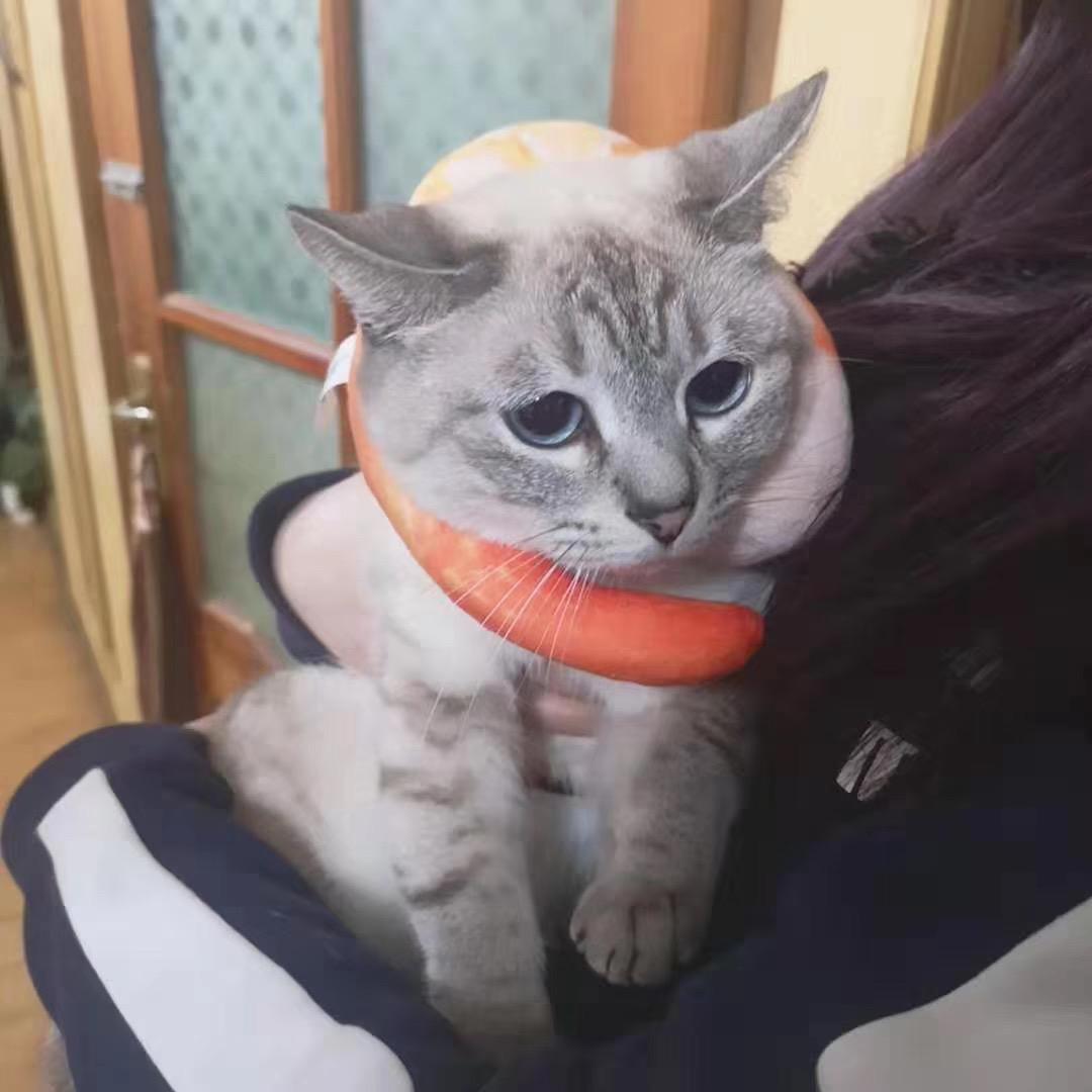 今天没发火