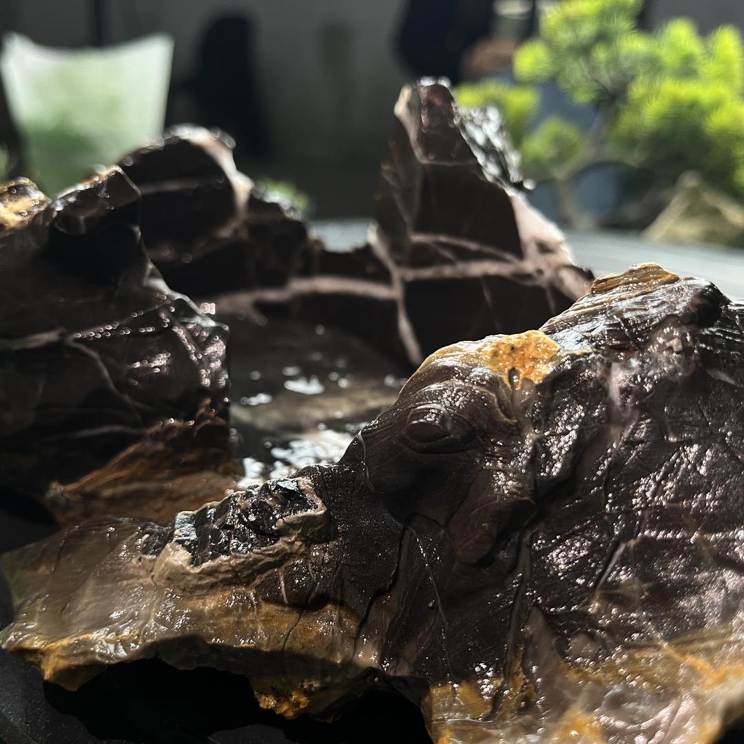 怪石坊（鱼缸花盆）一物一拍