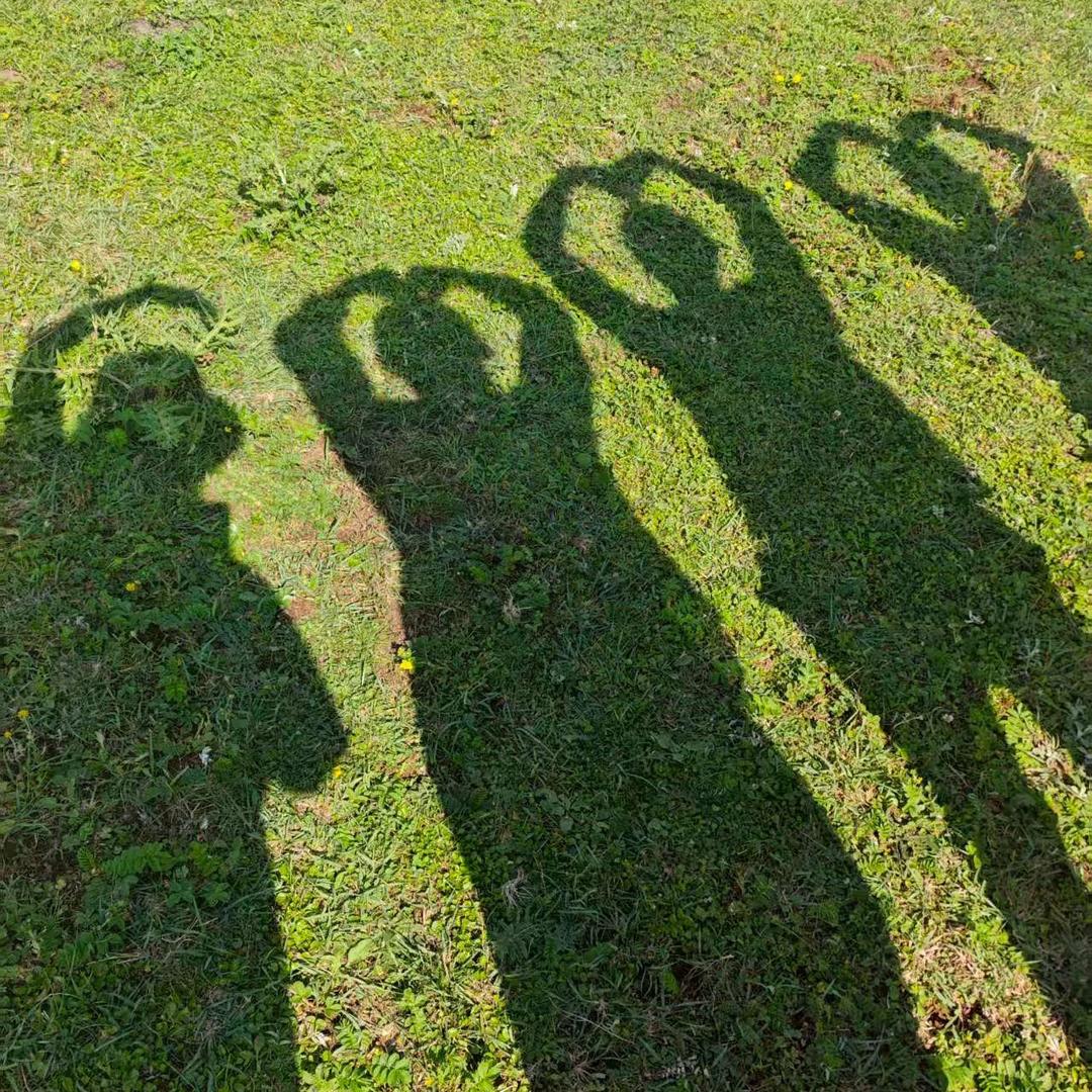 小学数学林老师