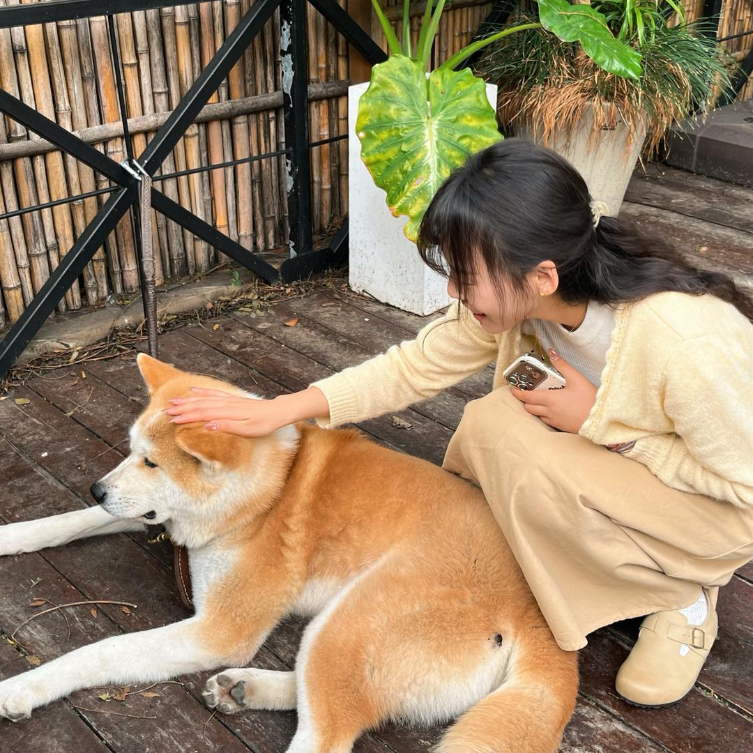 郑不胖